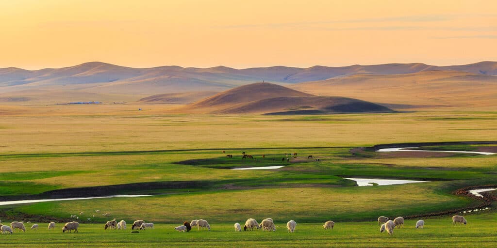 Mongolië