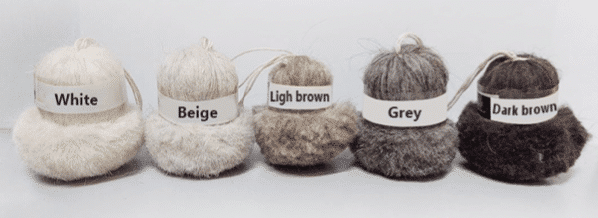 Couleurs naturelles de la laine