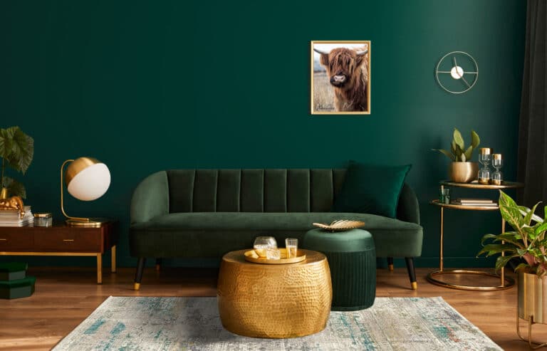 Conseils contre les tapis pelucheux